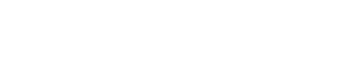 Safe Net Sanctuary